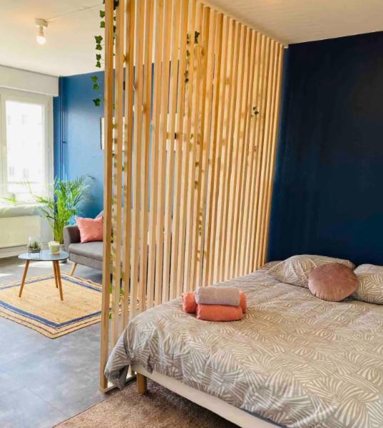 Le 610 - Cosy - Stationnement Gratuit & Wifi Saint-Etienne (Loire) Exterior foto